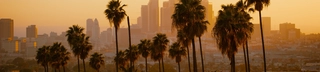 photograph of palm trees with the Los Angeles skyline in the background, likely at sunset with an orange hue to the sky.